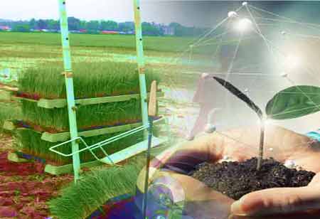 How Artificial Intelligence is Used in Aquaculture