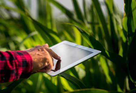 Transforming Agricultural Marketing to Meet Global Shifts